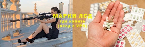 apvp Алексин