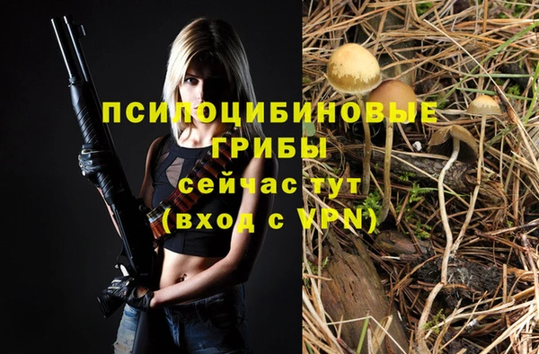 прущий лед Алексеевка