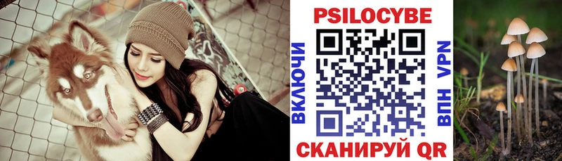 Псилоцибиновые грибы GOLDEN TEACHER  Микунь 